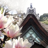 páteční a úterní HARMONIZAČNÍ semináře Pardubice 2017 - určeno pro duševně pracující, terapeuty a osoby aktivně pracující s lidmi 