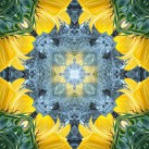 Víkendový seminář ČCHI-KUNG, DECHOVÁ CVIČENÍ A MEDITACE, HARMONIZACE A ČIŠTĚNÍ ČAKER 27.-29. září 2013 PadmaFarma &ndash; Bělá (Ateliér asijských umění Magnolia Pardubice) i pro úplné začátečníky