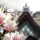 Zimní inspirace v Drahocenném srdci: Čchi-kung a meditace neděle 1.12. od 14h do 17h (3 hodinový seminář) Staré Čívice Pardubice