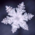 Tajuplný život vody - Masaru Emoto