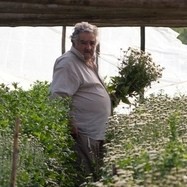 Uruguayský prezident Mujica na květinové farmě