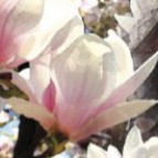 HARMONIZACE (Harmonie těla a duše, celistvost a rovnováha)